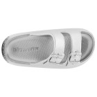 SILV